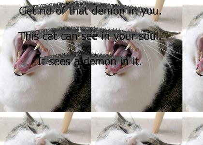 Cat Stares at Demon in Your Soul