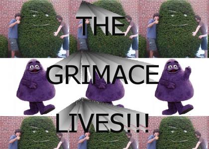 THE GRIMACE IS MIGHTY
