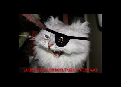 YARR! PIRATE KITTY!!