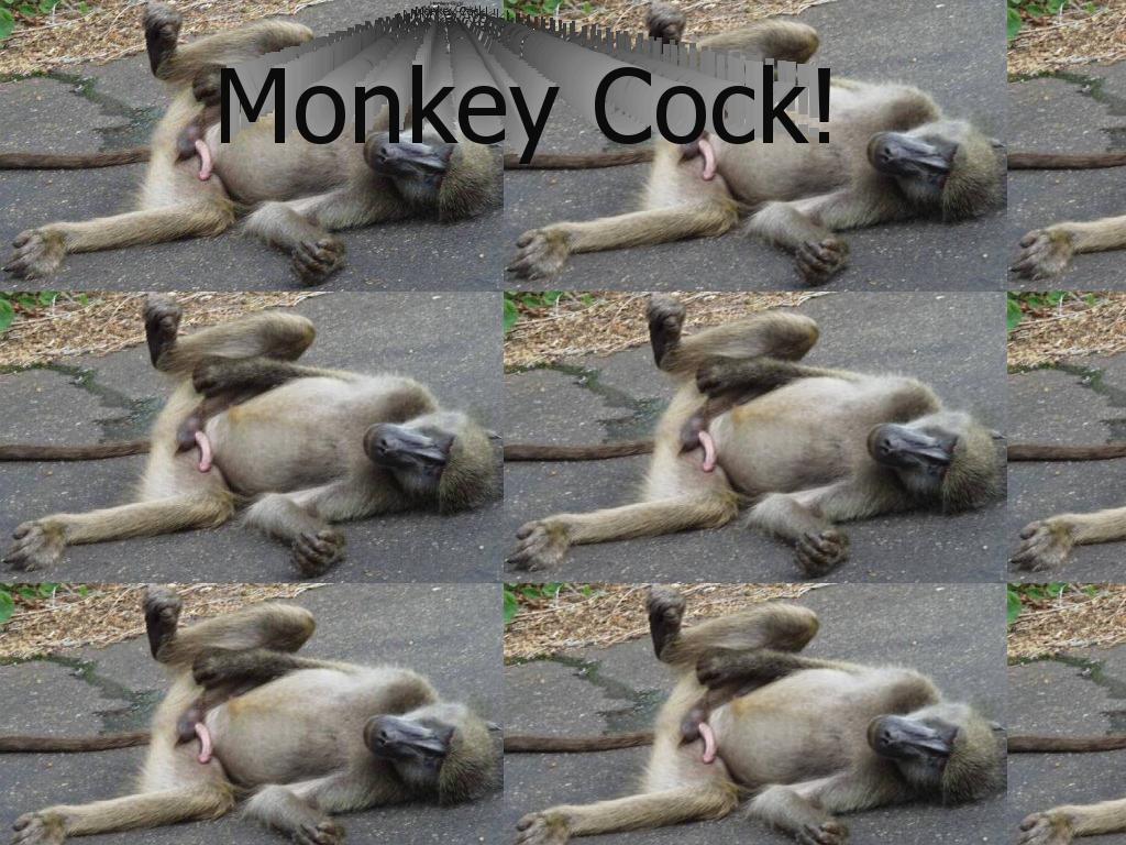monkeycock