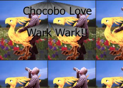 Chocobo Love