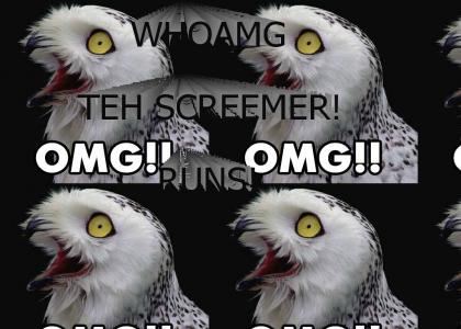 Screamer whoamg!