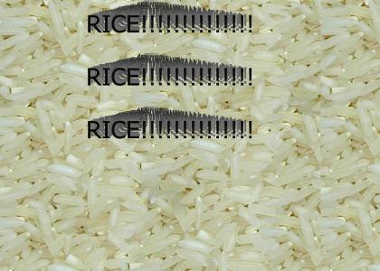 RICE