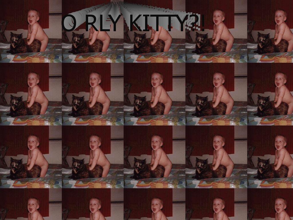 orlykitty