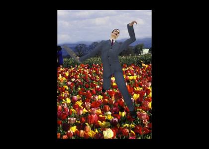 gman tiptoes through the tulips