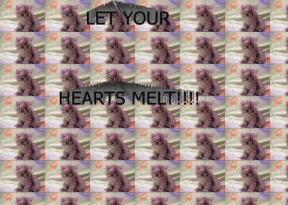 Let Your Heart Melt