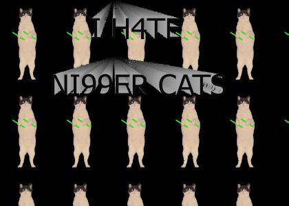 I H4TE NI99ER CATS