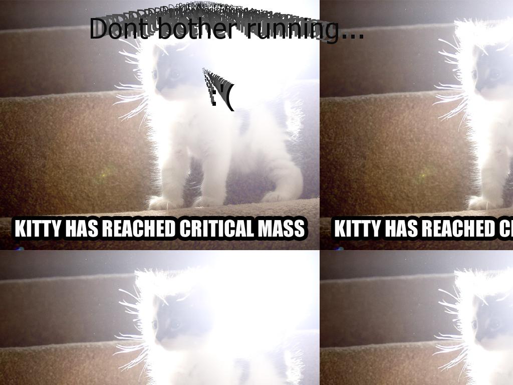 Criticalkitty