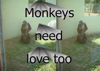 monkey sexin