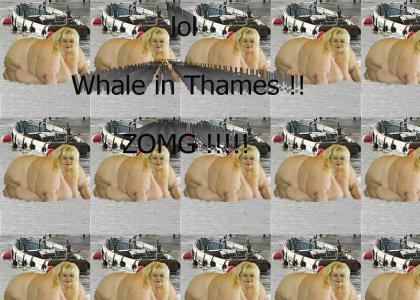 lol whale 2