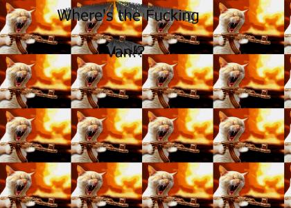 "WHERE'S THE ****ING VAN?!", Cat
