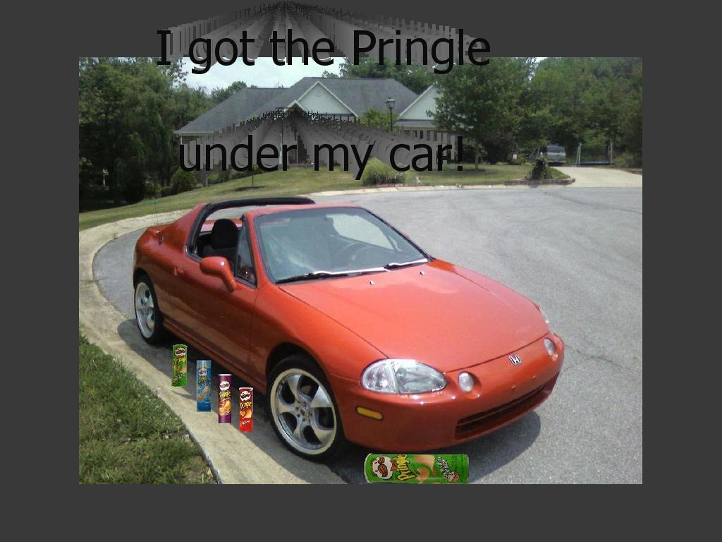 pringleundercar