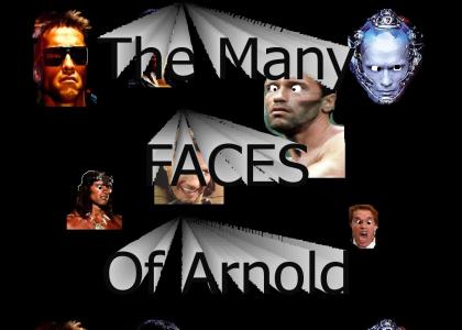 The many faces of Arnold