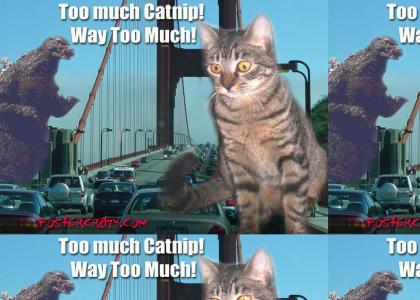 NEDM...... too much catnip!
