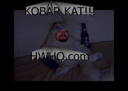 I Am Kobar Cat