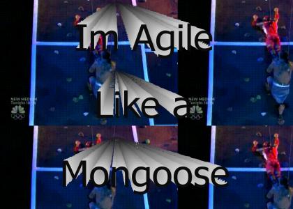 Like a Mongoose