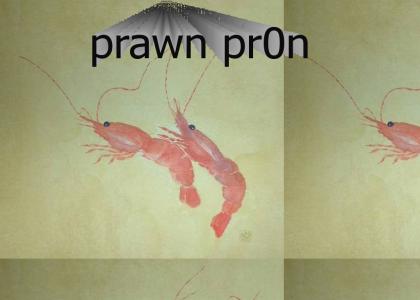 HOT!! Prawn pr0n!!!!