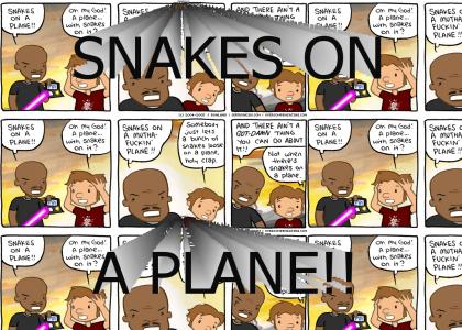 Oh my god... A plane... With snakes on it?