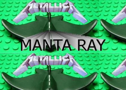 Cannot stop the Manta Ray (Metallica)
