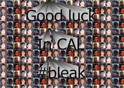 Team Bleak, CAL season 4
