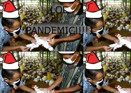 Avian Flu Xmas