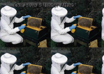Hive Under Attack