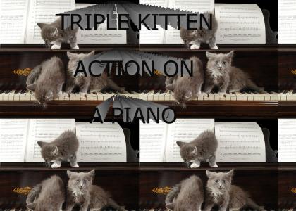 TRIPLE KITTEN ACTION ON A PIANO