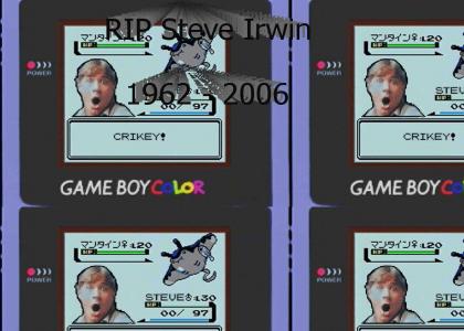 RIP Steve Irwin..