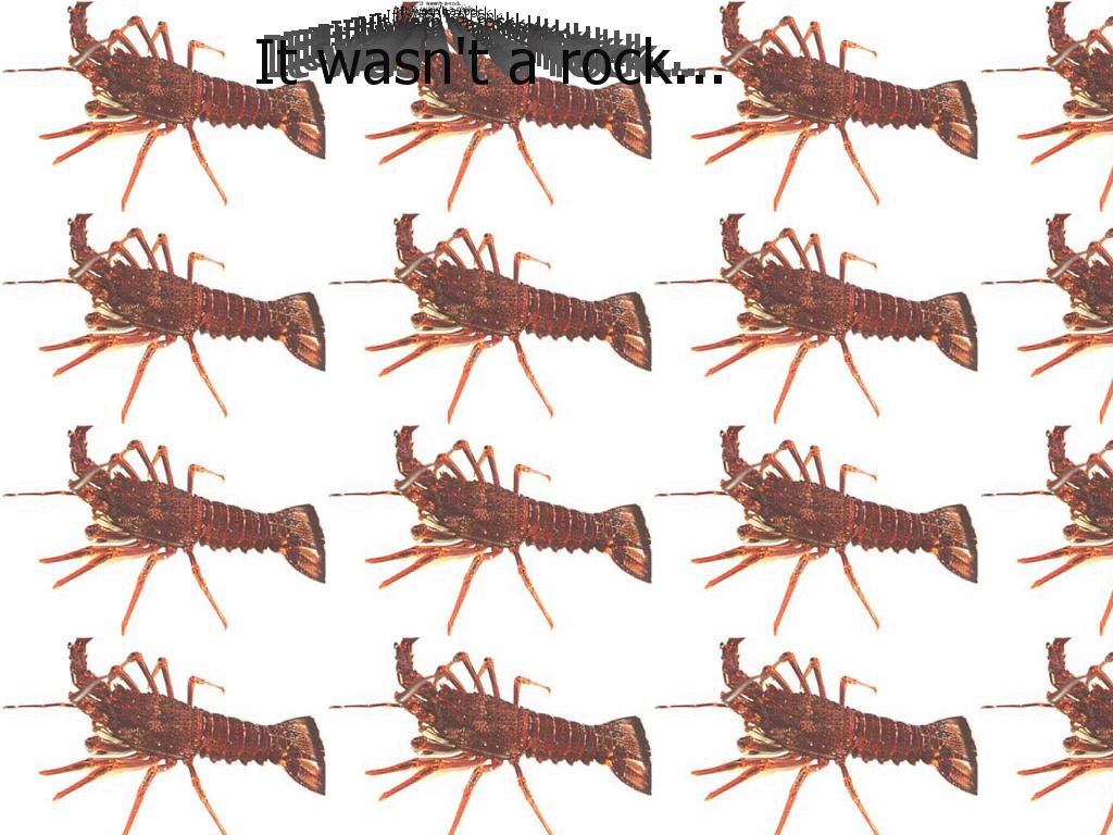 tehrocklobster