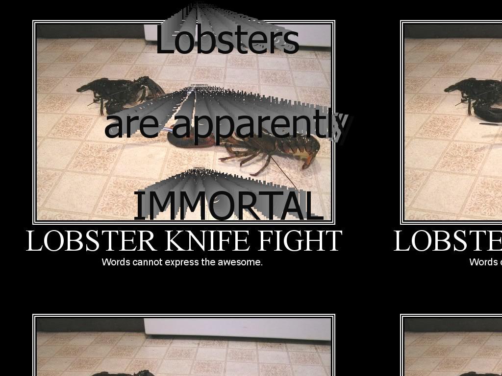 lobster-immortality