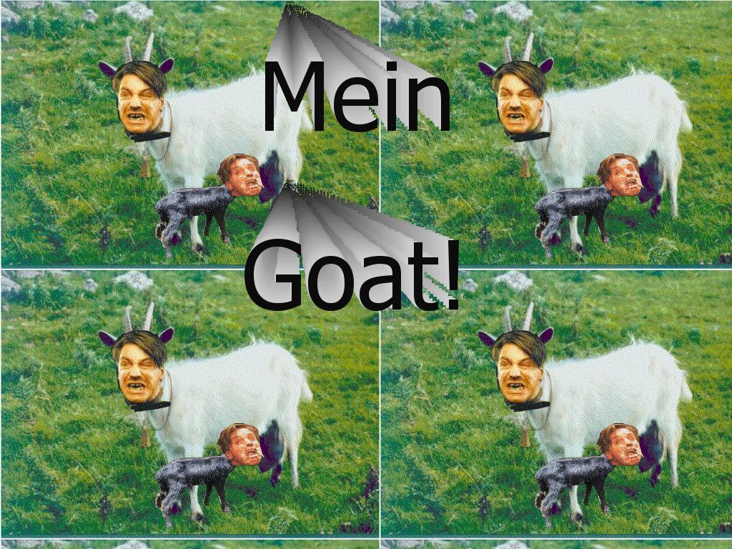 MeinGoat