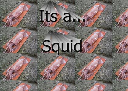 Its a...Squid