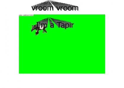 vroom vroom i'm a tapir