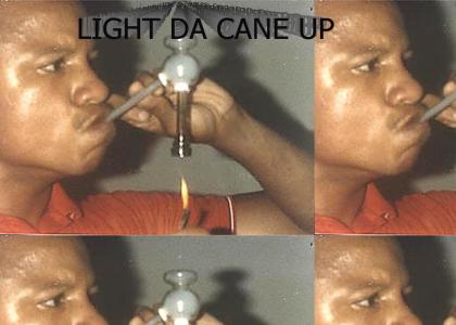 Light da cane up