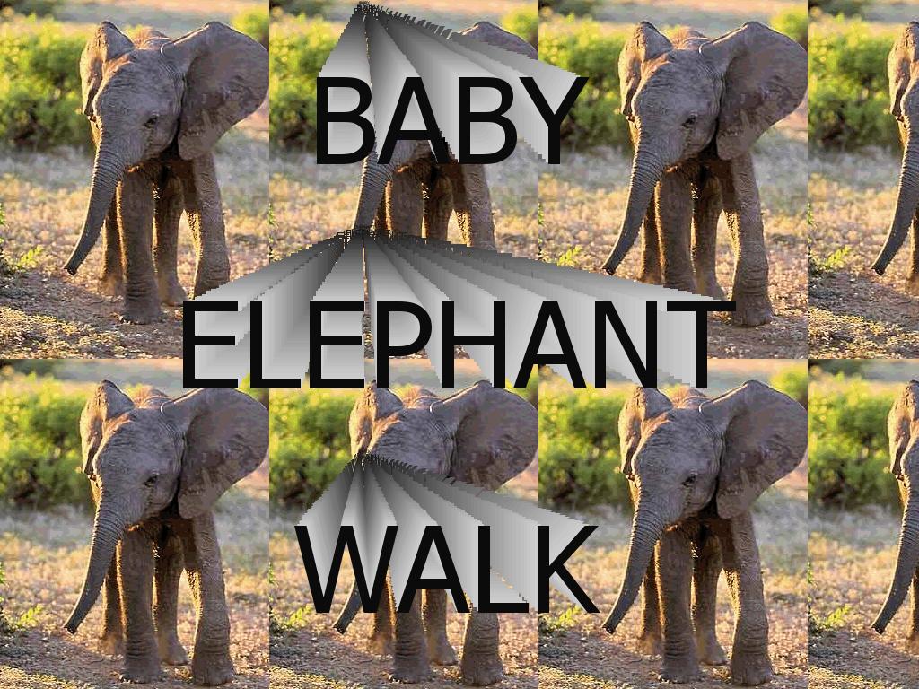 babyelephantwalk