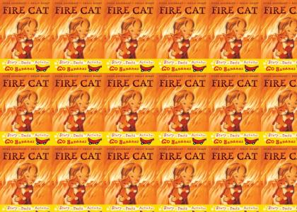 CAT ON FIRE OMG!