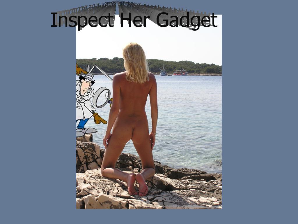 inspectorgadget1