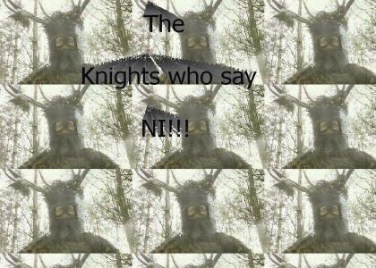 Knights who say NI!