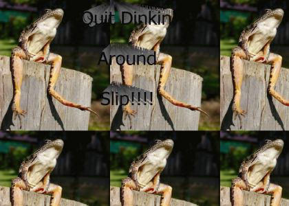 Slippy, Quit Dinkin' Around!
