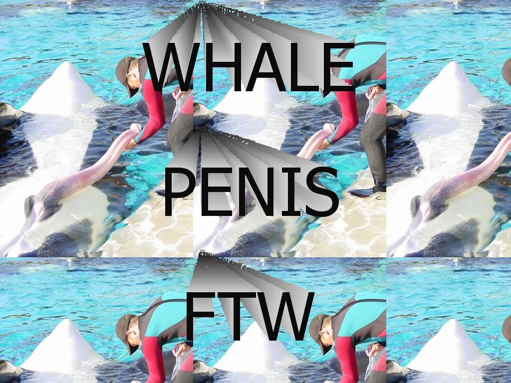 whalepenis