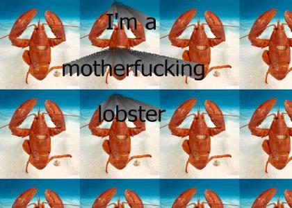 I'm a lobster