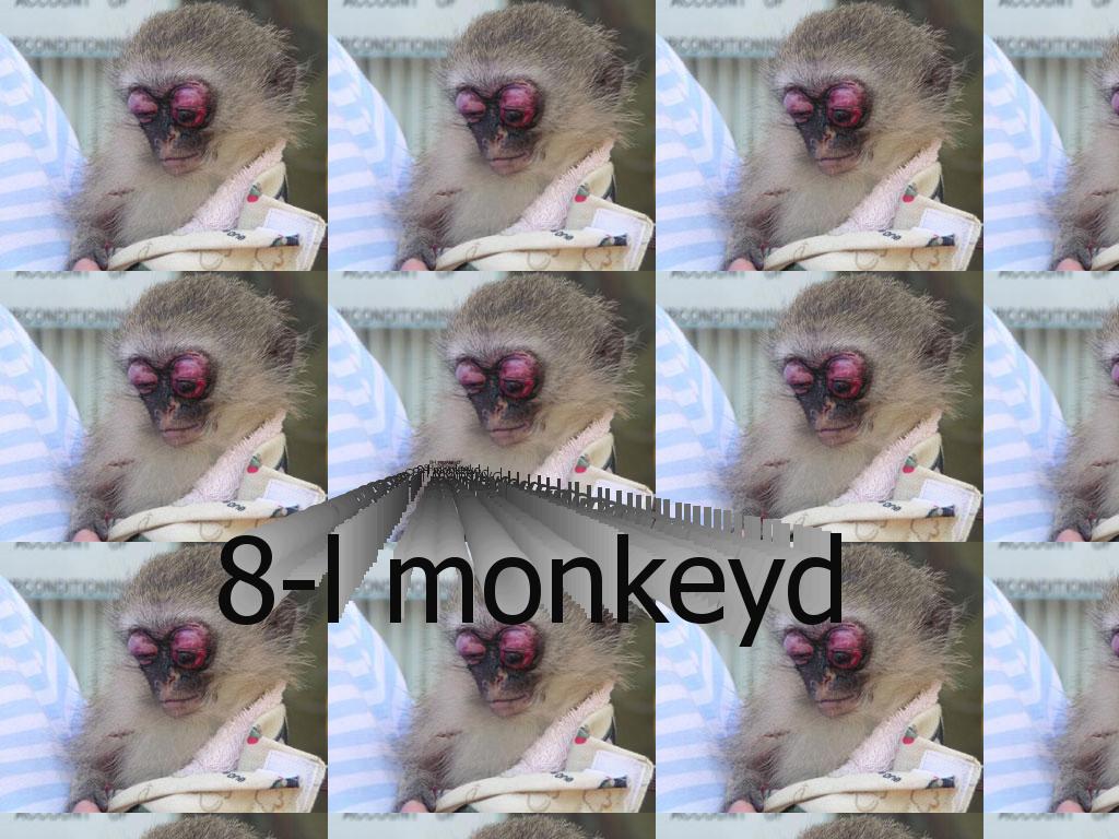 monkeycantseemonkeycantdo