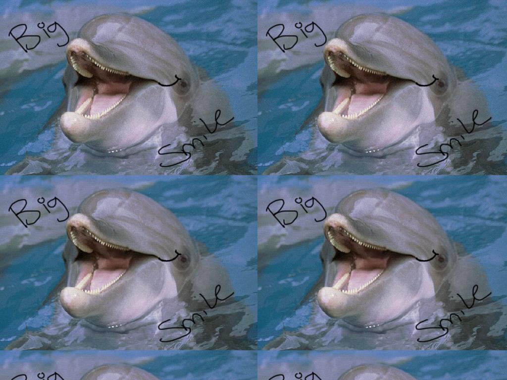 smiledolphin