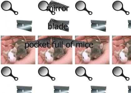 pocket of mice