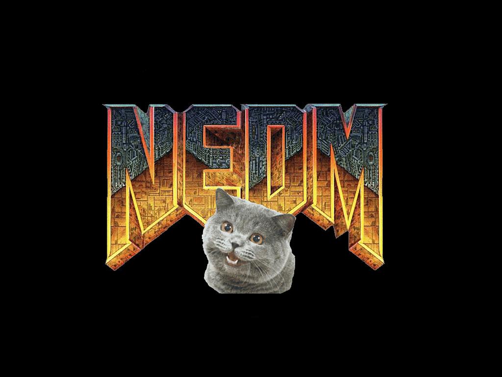 nedmlogo