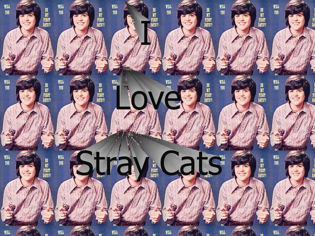 baronlovesstraycats