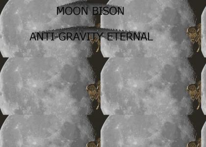 PTKFGS: Moon Bison