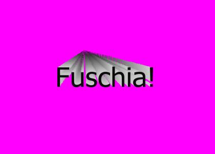 Fuschia!