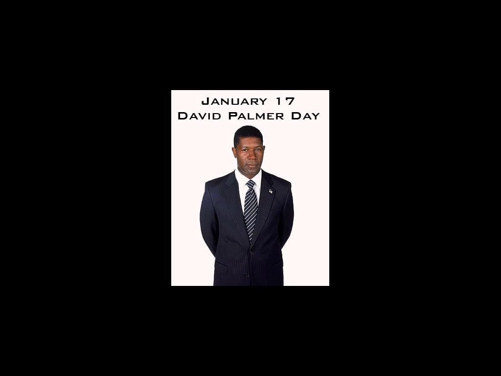 davidpalmerday