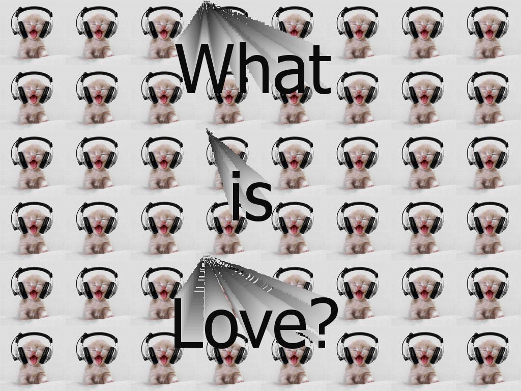 Cat-WhatIsLove